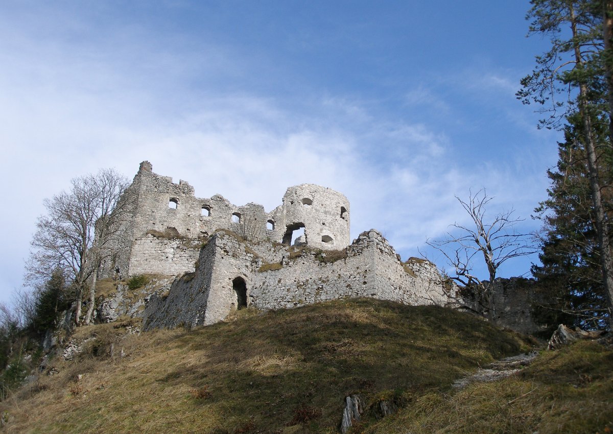 c_ulses_burg_ehrenberg_pb210067.jpg
