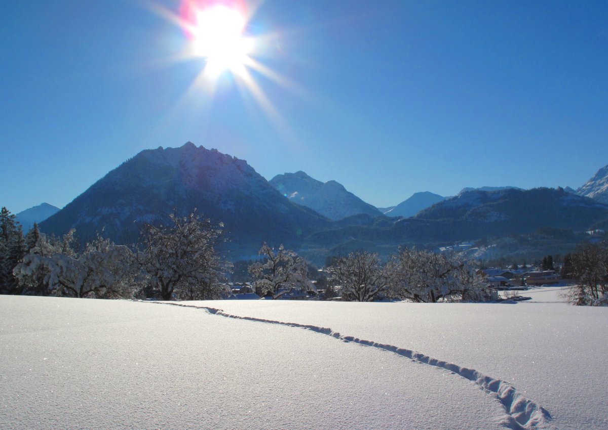 WinterZAUBER
